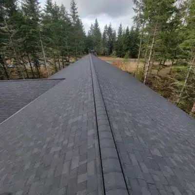 Puget Sounds Professional Roofing Experts