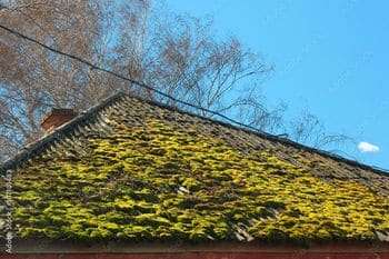 Enumclaw Roofing Contractor Experienced Enumclaw roofing contractor in WA near 98022