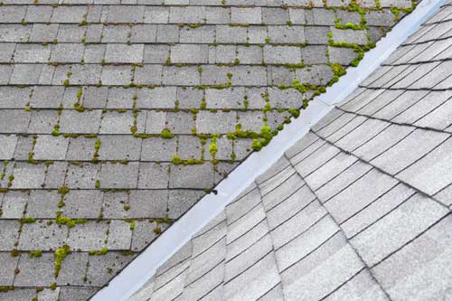 Expert Buckley roofing companies in WA near 98391