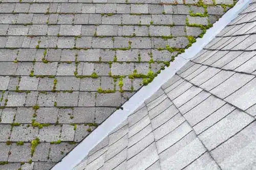 Outstanding Pierce County Roof Cleaning in WA near 98404