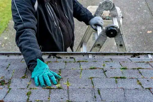 Exceptional Pierce County Roof Cleaning Services in WA near 98404