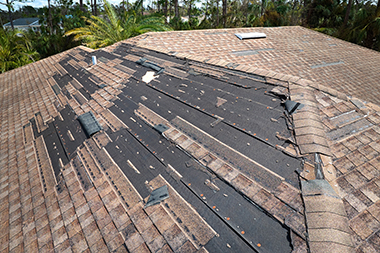 Orting Roof Leak Repair Near Me
