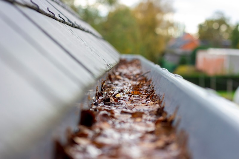 Bonney Lake Gutter Cleaning