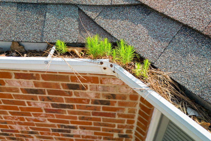 Bonney Lake Gutter Replacement